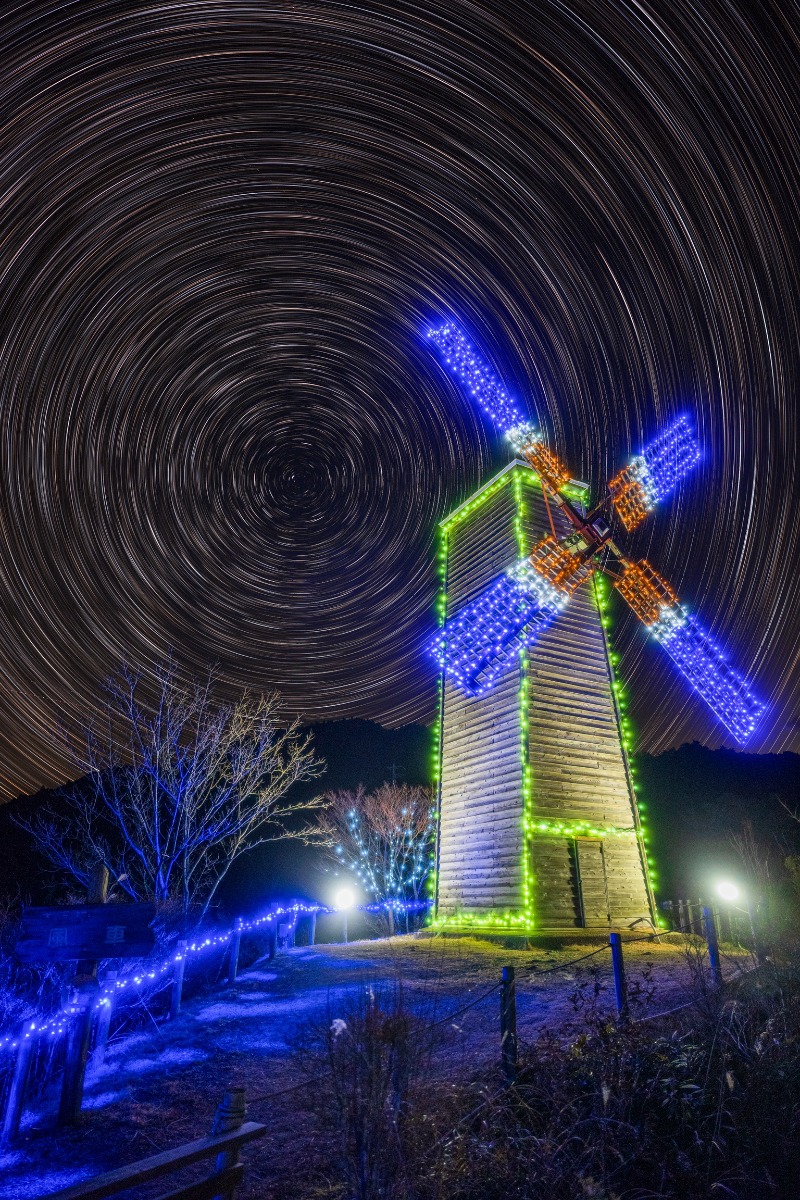 【徳島イベント情報2025】徳島イルミネーション情報まとめ＆雰囲気たっぷり映えスポットも紹介！