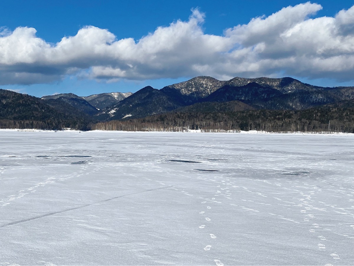 北海道、冬の遊び方。｜ぬかびら温泉郷エリア（上士幌町）
