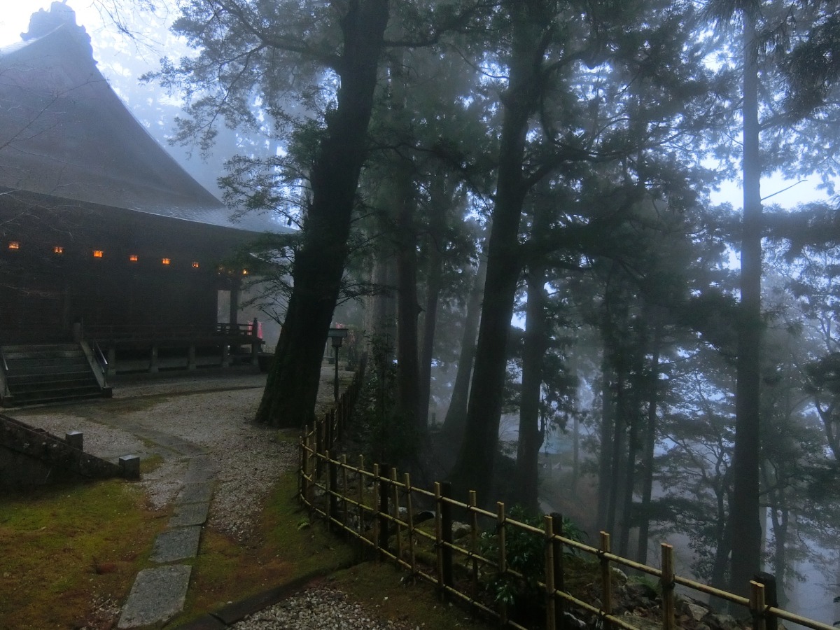 【最新2026年版】正月恒例！ 徳島のおすすめ初詣スポットまとめ。神社＆お寺のご利益をチェックして参拝しよう