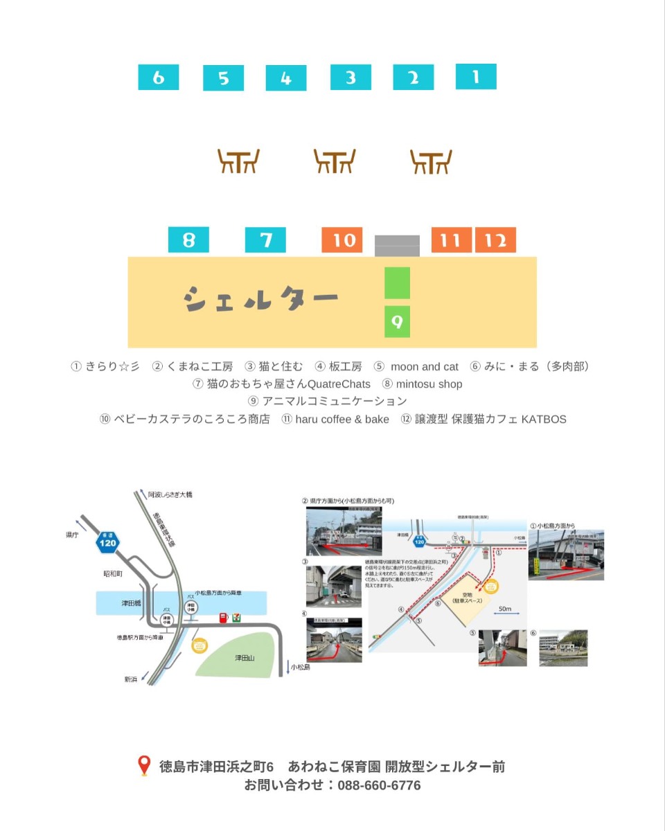 【徳島イベント情報2026】4/5｜あわねこ春のネコまつり