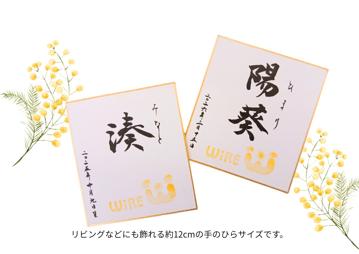（3/12更新）【徳島の子育てイベント】3月15日（日）ワイヤーフェスタ2026春 in ふれあい健康館（徳島市沖浜）