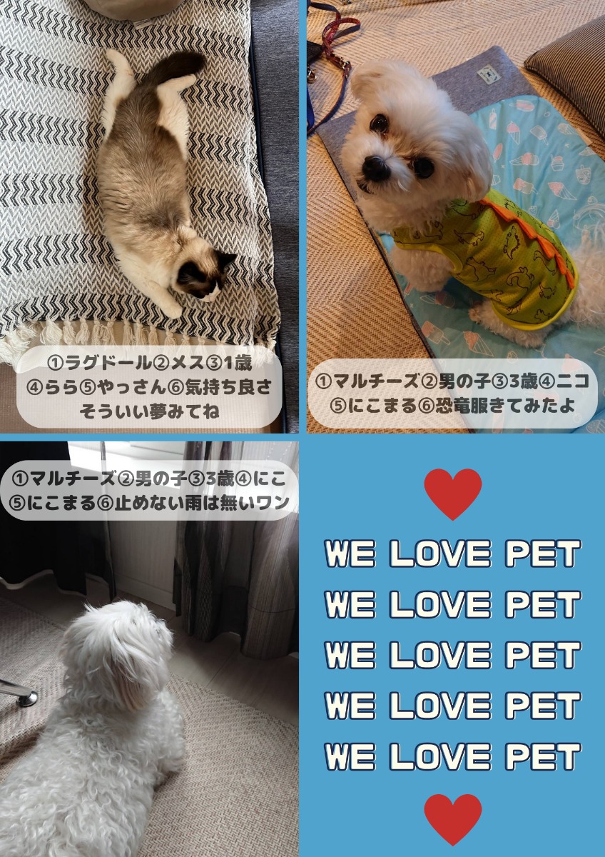 【ペットフォトコンテスト】幸せを呼ぶペットライフ　We LOVE Pet2023年7月版