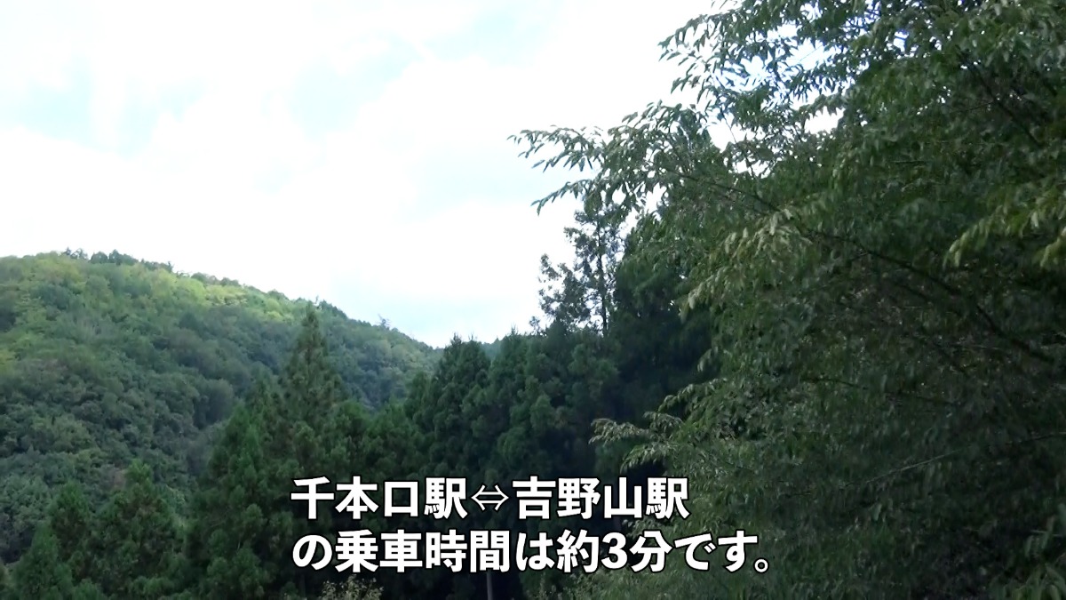 「日本最古ロープウェイ」　レトロな雰囲気で景色もよし！【吉野大峯ケーブル｜吉野町】