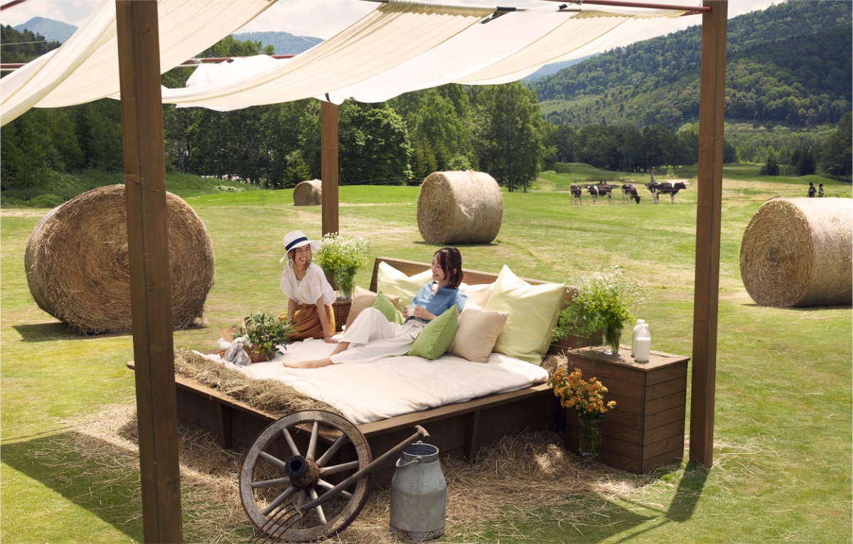 大地を駆ける牛と春のお祝い。トマムで放牧開始