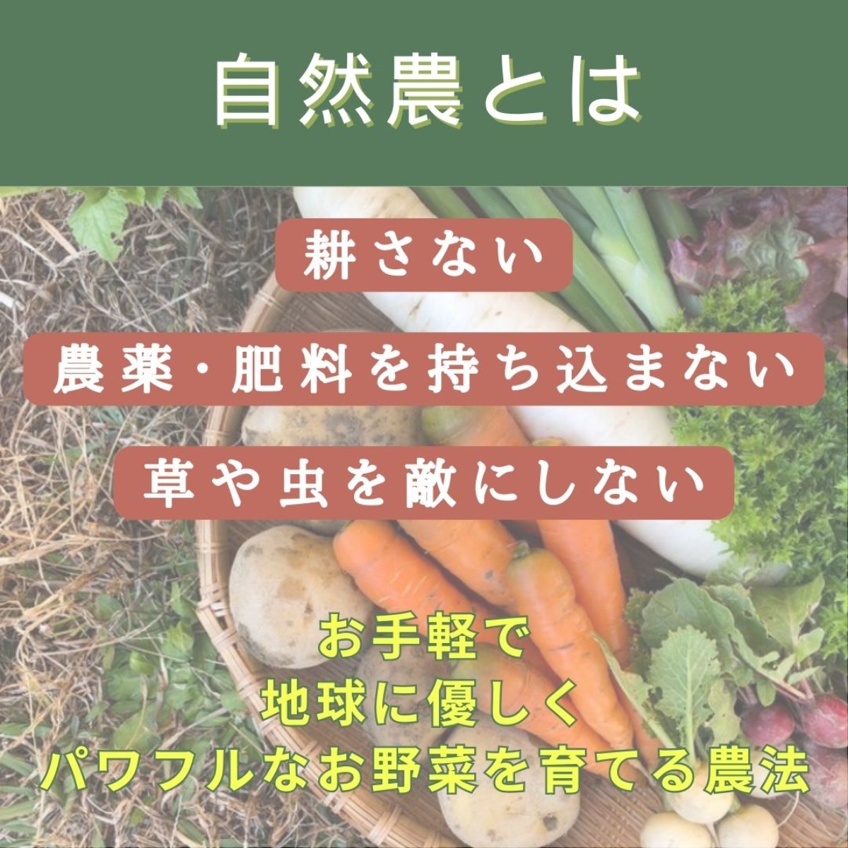 【徳島イベント情報】2/16｜自然農体験［要申込］