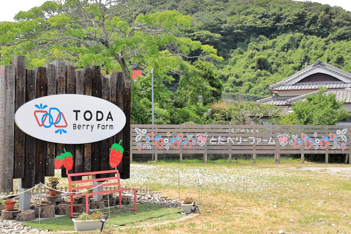【徳島】もう食べた？話題の新顔かき氷｜ピックアップ3選