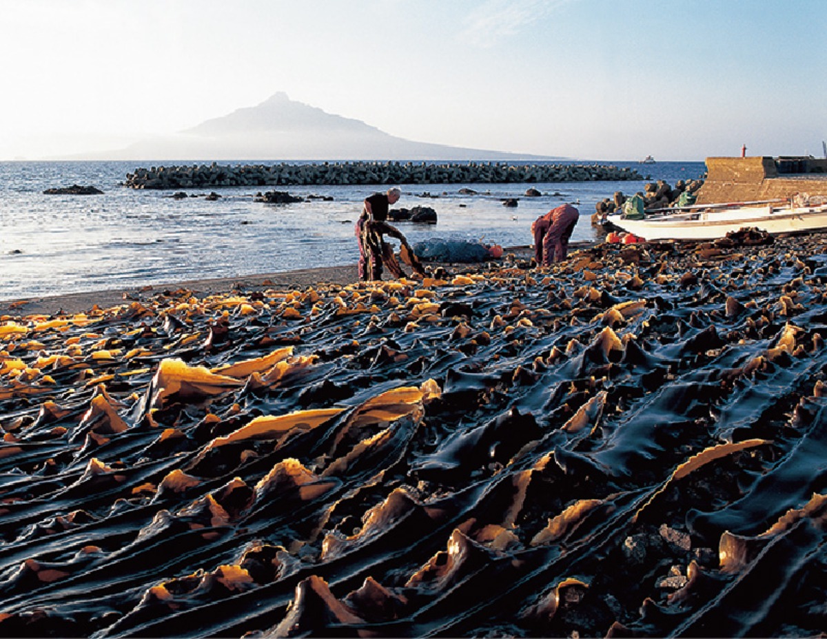 離島の自然と海産物が魅力の礼文町。体験住宅もある移住者のまち