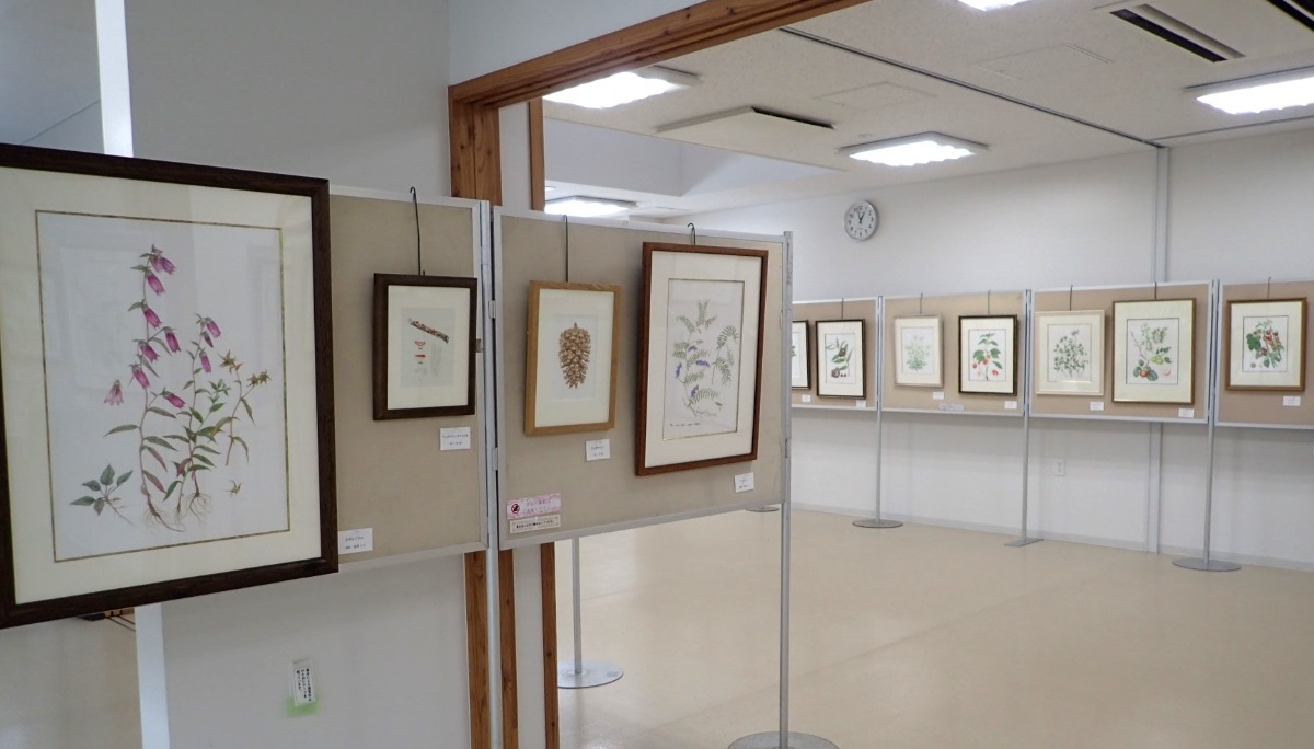 札幌｜緻密な植物画「ボタニカルアート展」が豊平公園で3月19日より