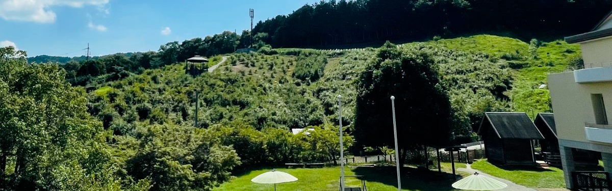 無農薬の甘いブルーベリーの実が食べ放題!「あおはにブルーベリー園」今年も開園!【奈良市】