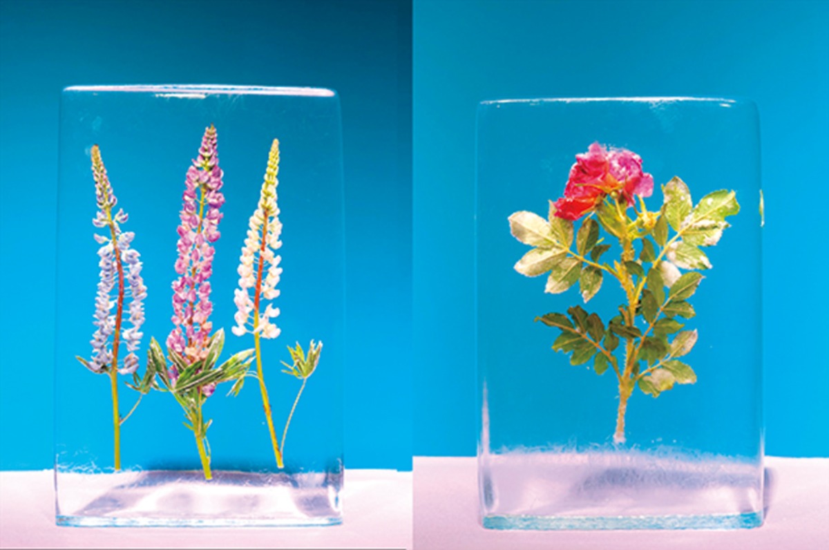 春から夏のオホーツク案内｜紋別市　オホーツク北部の観光拠点で、 食と観光を満喫できるまち