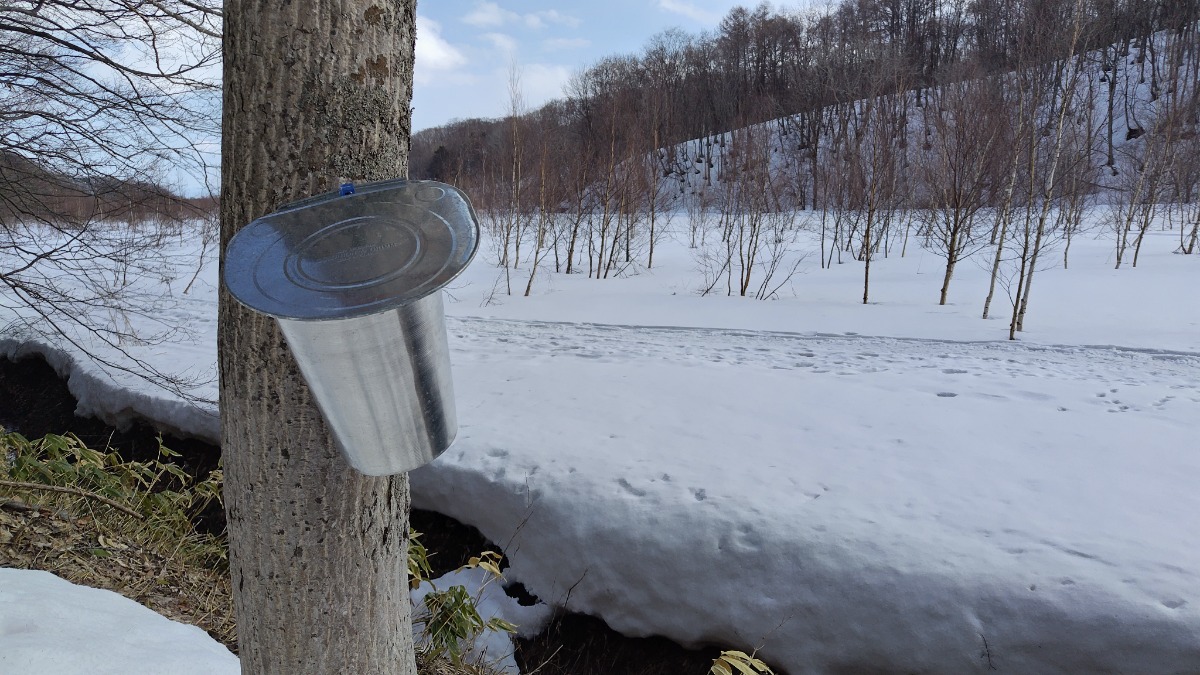 札幌→石狩地方へ行ってきました！（前編／１日目）