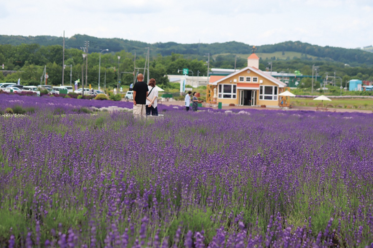 春から夏のオホーツク案内｜紋別市　オホーツク北部の観光拠点で、 食と観光を満喫できるまち