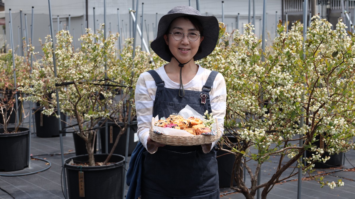 【徳島スイーツ部/おやCHU】那賀川BLUEBERRY みき農園(阿南市那賀川町)焼きたてのお菓子に出会えるブルーベリー農園のカフェ