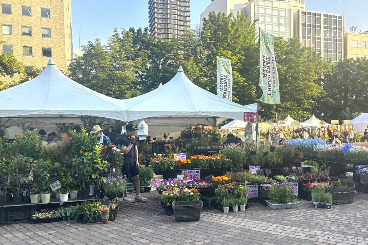 札幌・大通公園の「花フェスタ2025」へ。6月29日まで開催中!