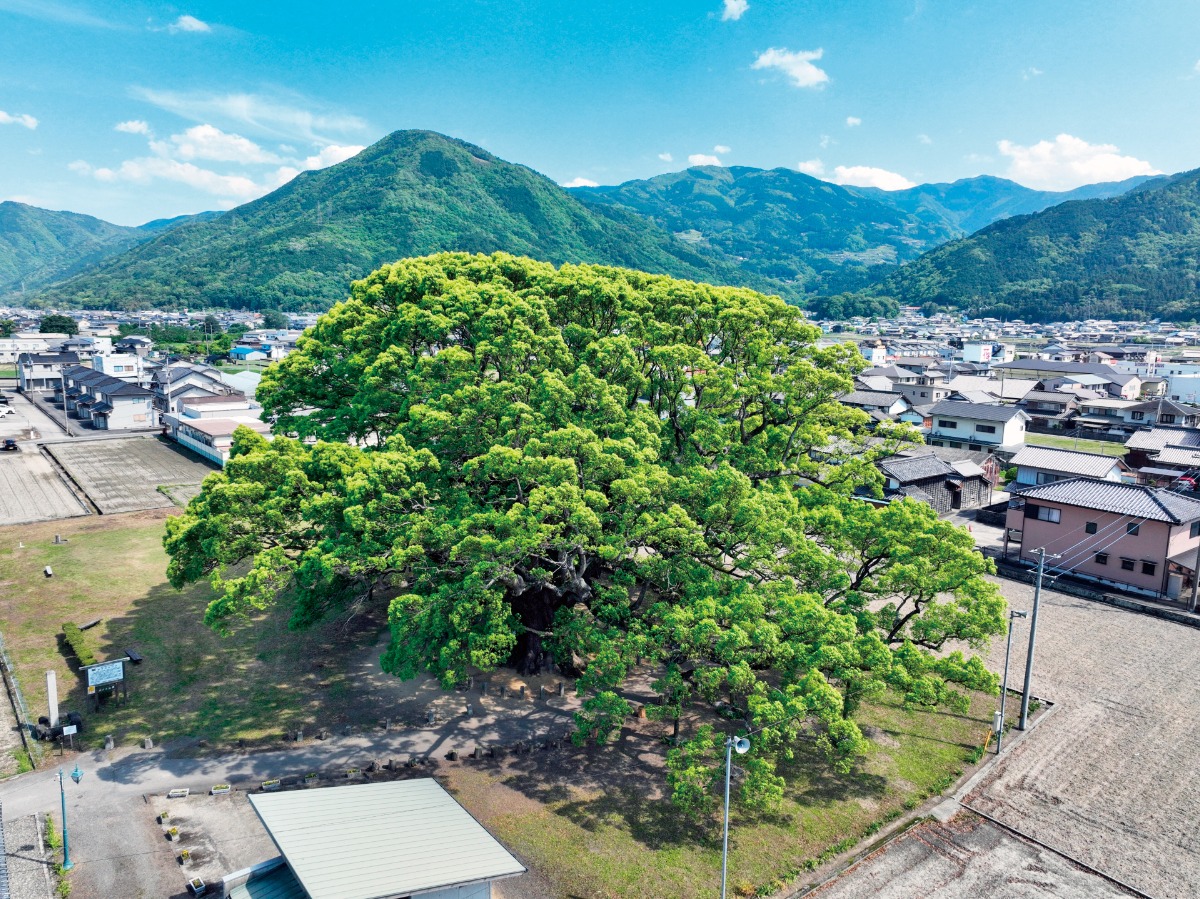 【2024阿波おどり】編集部が推す！徳島の観光スポット