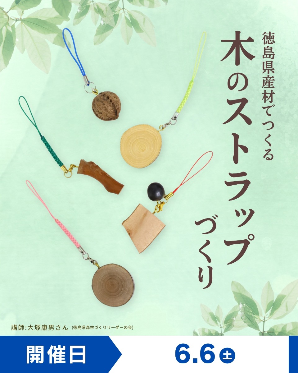 【徳島イベント情報】徳島木のおもちゃ美術館【6月】