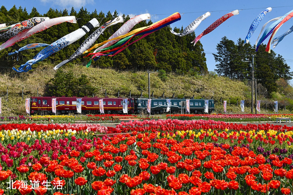 花咲く沿線と津軽海峡の海、道南いさりび鉄道の旅