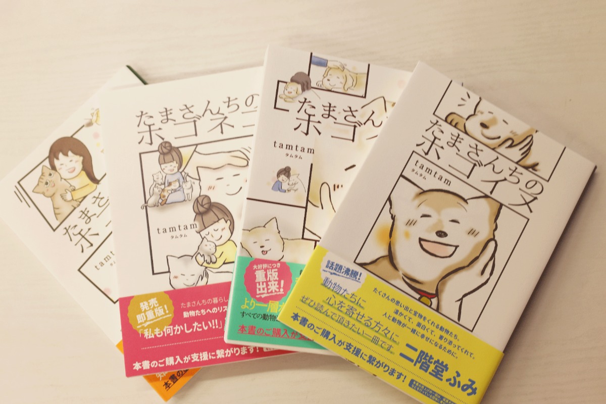 【スペシャルインタビュー】『たまさんちのホゴイヌ・ネコ』の作者tamtamさんに直撃インタビュー！