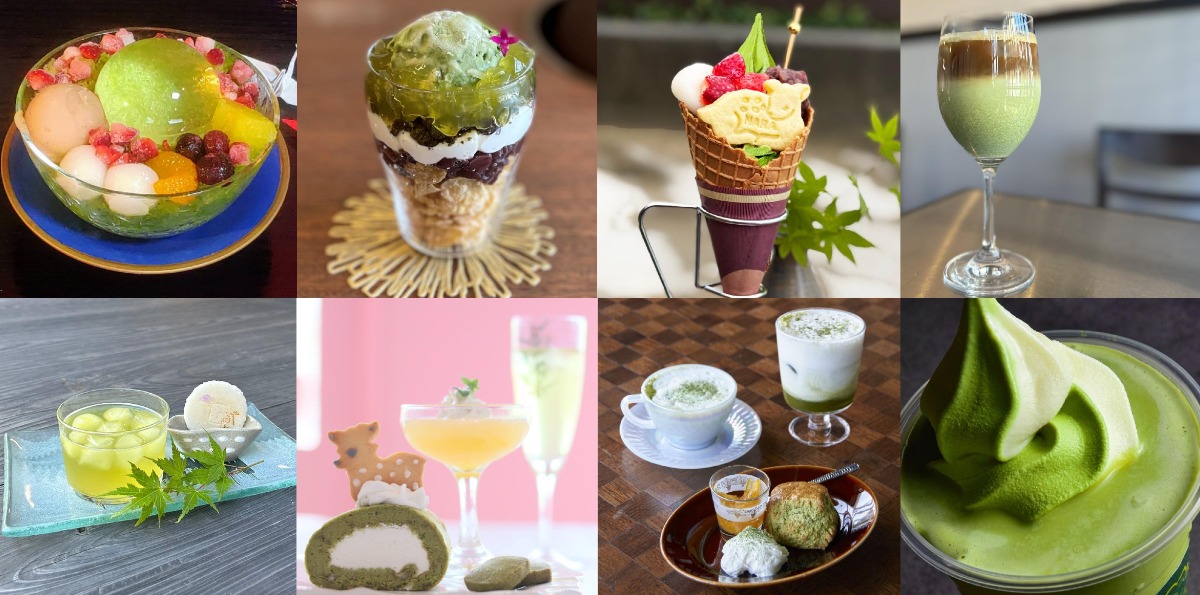 この夏は「大和茶スイーツ&ドリンク」で奈良を堪能!【ちゃちゃちゃ大和茶2025】
