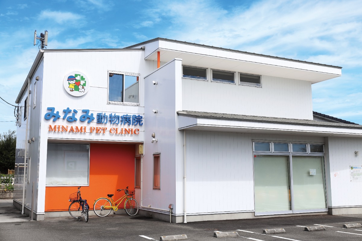 【2026】徳島の動物病院／ペット／ピックアップ8選―あわわ2026年10月20日号徳島いぬねこ本―