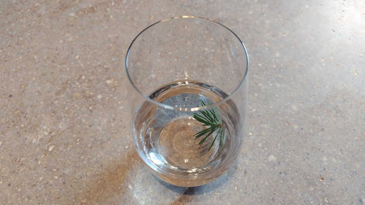 美食と香りのレストランがオープン！「MORISHIRO（モリシロ）」に行ってきました