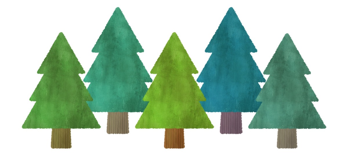 徳島の木でつくる“心地よい”空間（店舗・施設のオーナーインタビュー）