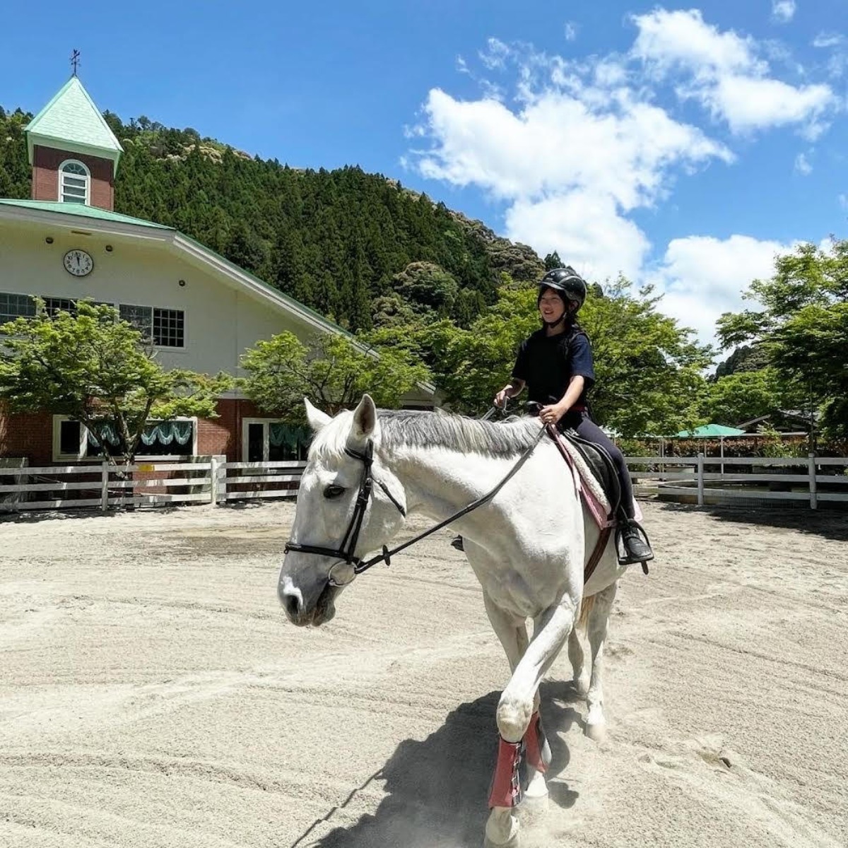 徳島の乗馬体験スポット3選｜おでかけ／体験／レジャー｜那賀町・阿波・小松島市