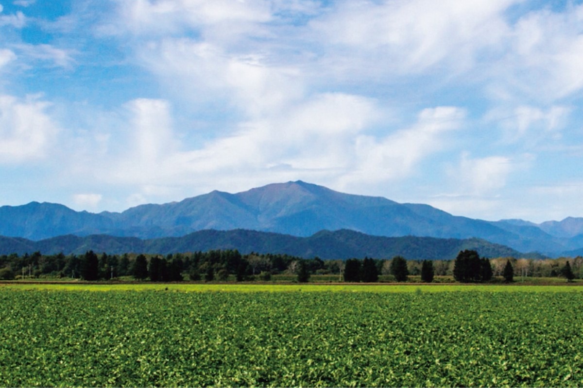  夏の北海道旅｜中札内の絶景を満喫！「やまべ放流祭り」は7/6開催