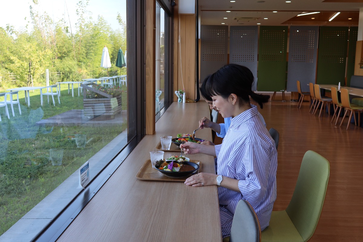 【徳島・この店は推せる！】 県外ゲストを連れて行きたいグルメ3選／海鮮丼／和菓子／カレー