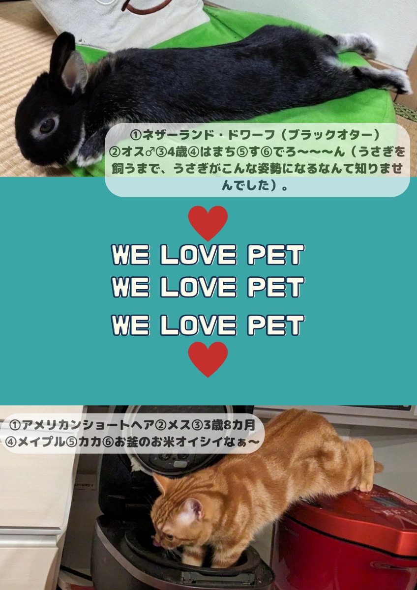 【ペットフォトコンテスト】幸せを呼ぶペットライフ　We LOVE Pet2023年8月版