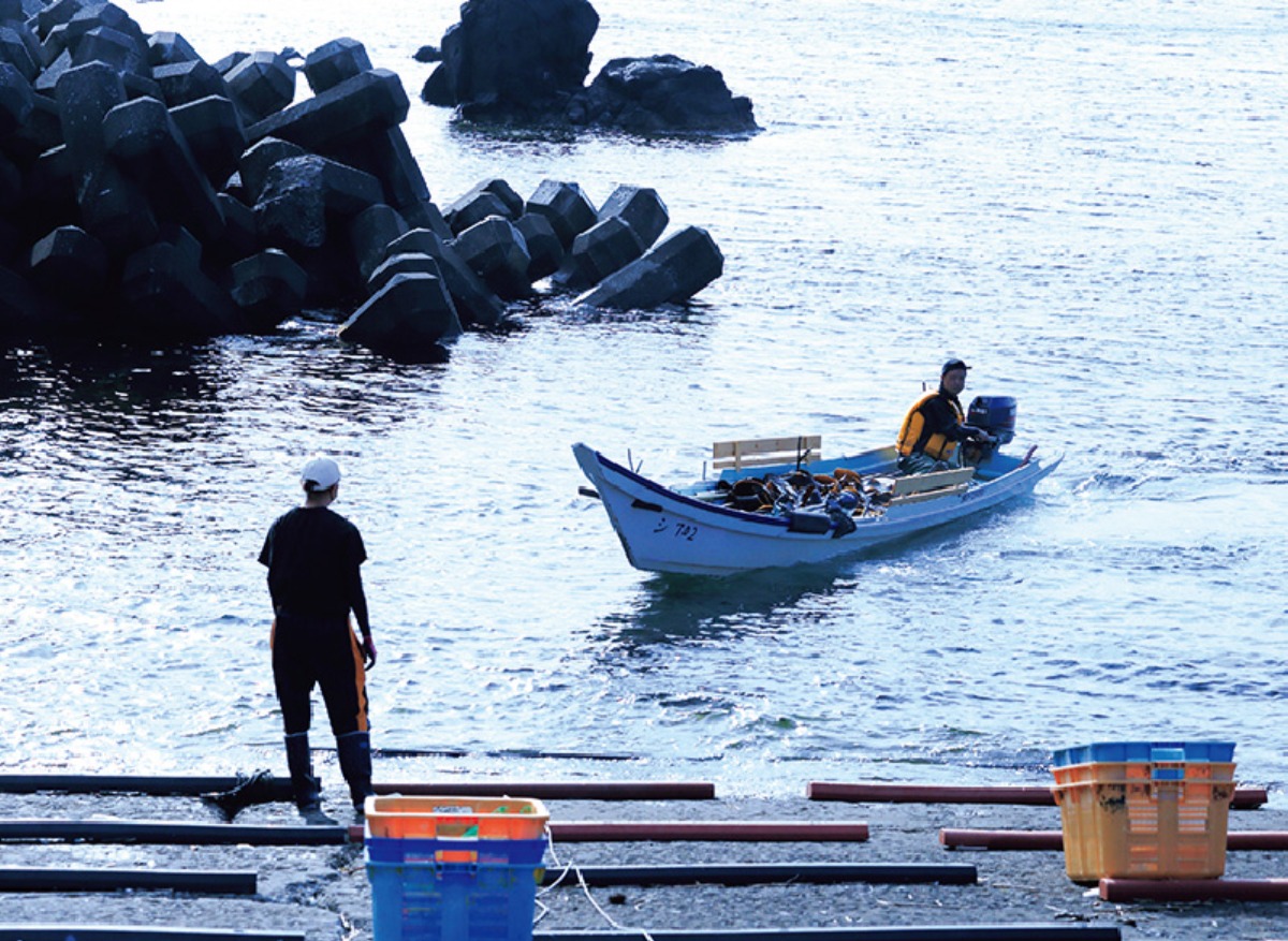 離島の自然と海産物が魅力の礼文町。体験住宅もある移住者のまち