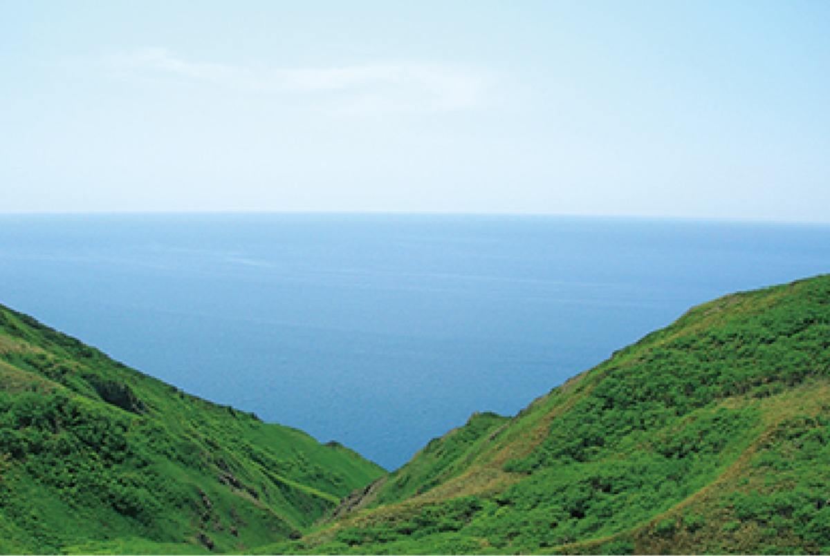 特別な場所へ 礼文島・秋物語|北海道大人の旅ガイド2025