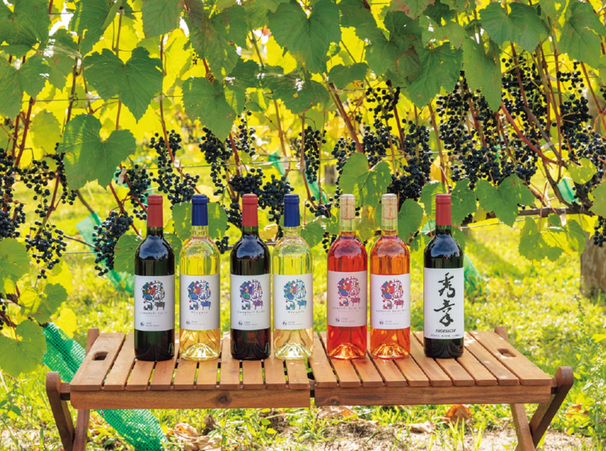 春から夏のオホーツク案内｜北見市　春はツツジ、夏には和ハッカと、 香りと色彩に包まれるまち