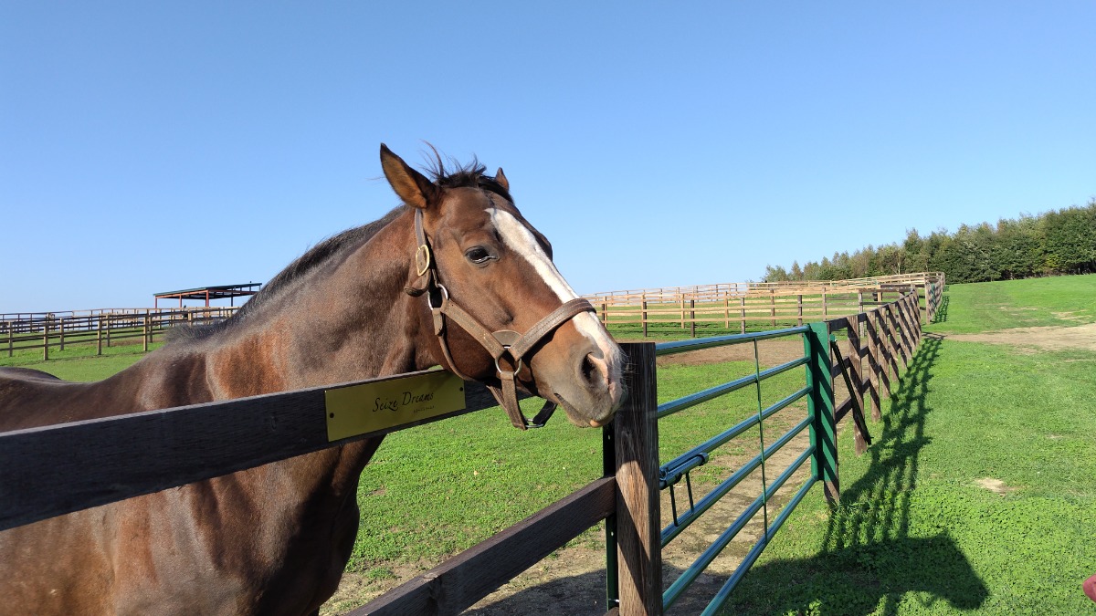 3月3日発売「北海道生活」春号（最終号）メッセージを募集します！