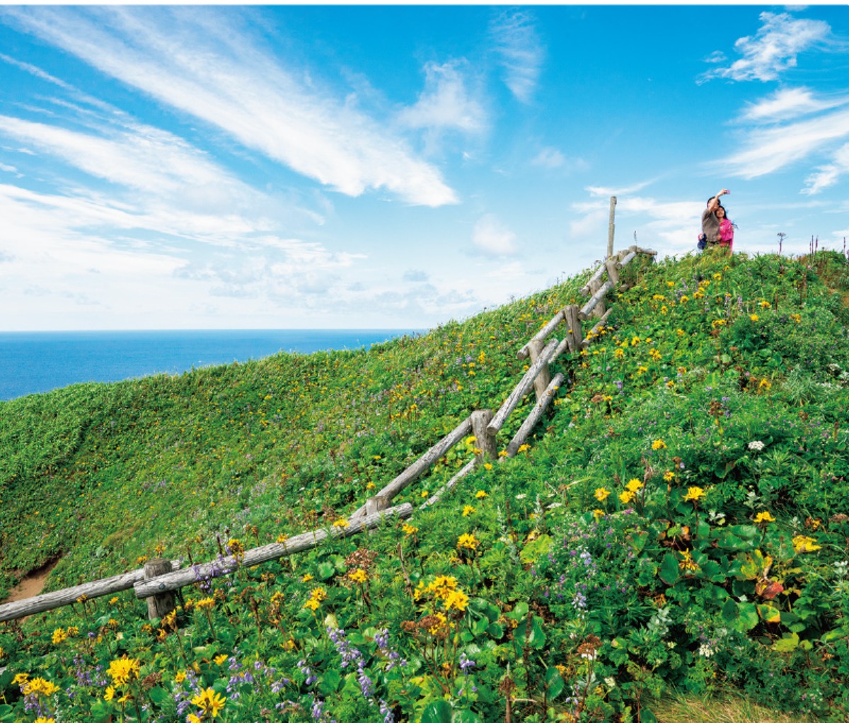 礼文島 ‟花と海の絶景”を楽しむ！ 7つのトレッキングコース