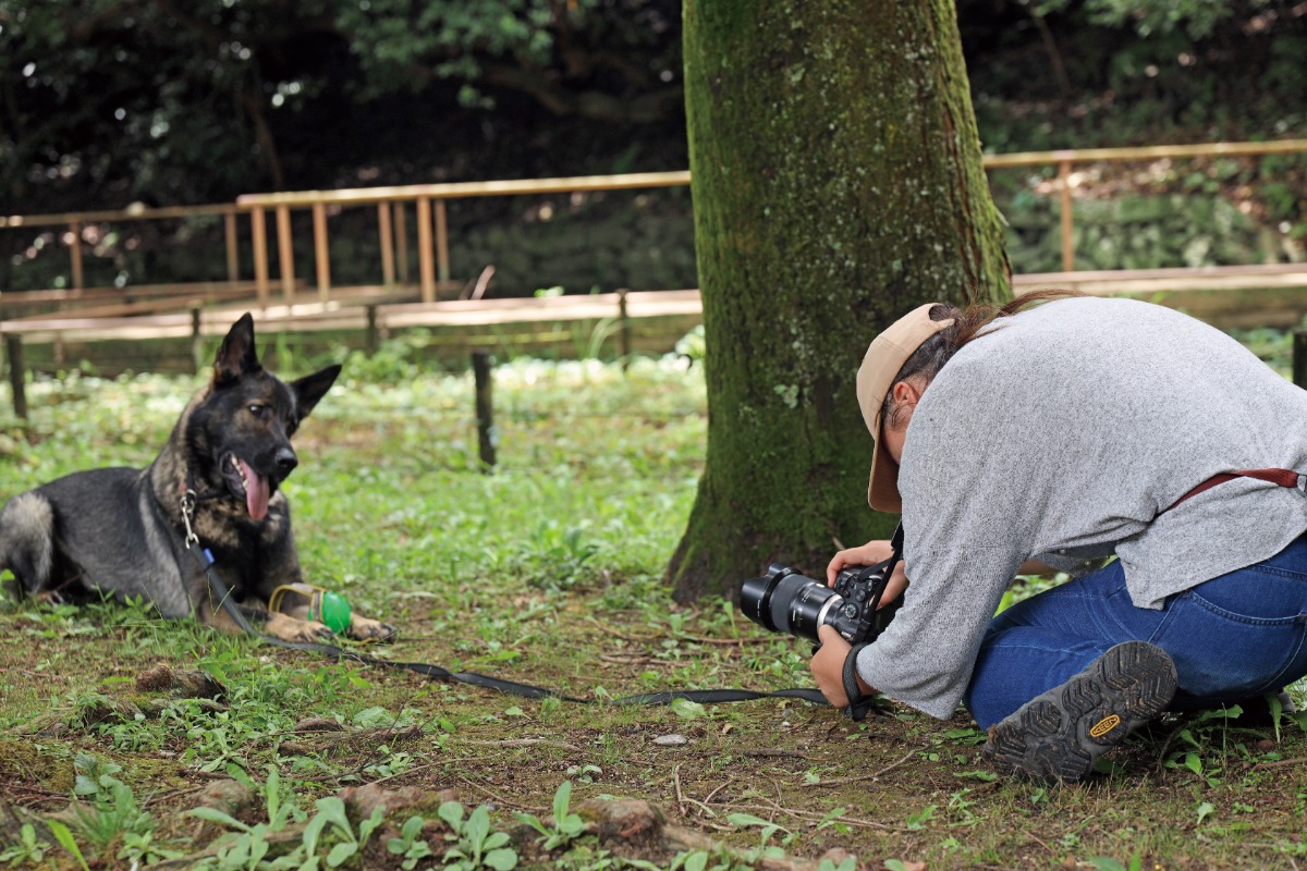 【2026】徳島のペットサービス／ペット葬祭／いぬの幼稚園／セルフシャンプー／犬専門写真／ペット介護―あわわ2026年10月20日号徳島いぬねこ本―