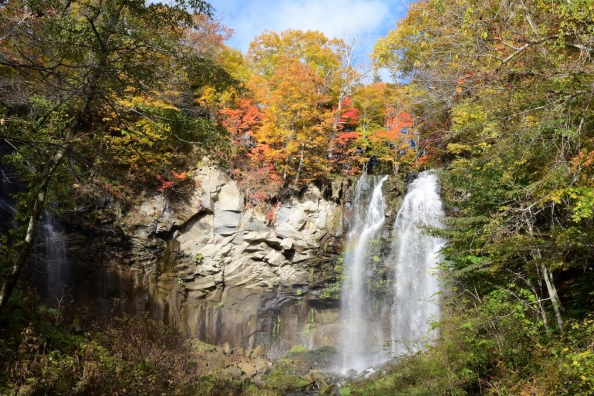 紅葉が見頃!札幌・滝野すずらん丘陵公園『たきの紅葉まつり』10/26(日)まで開催中!