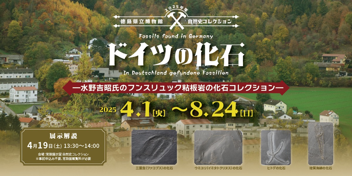 【徳島イベント情報2025】徳島県立博物館【5月】