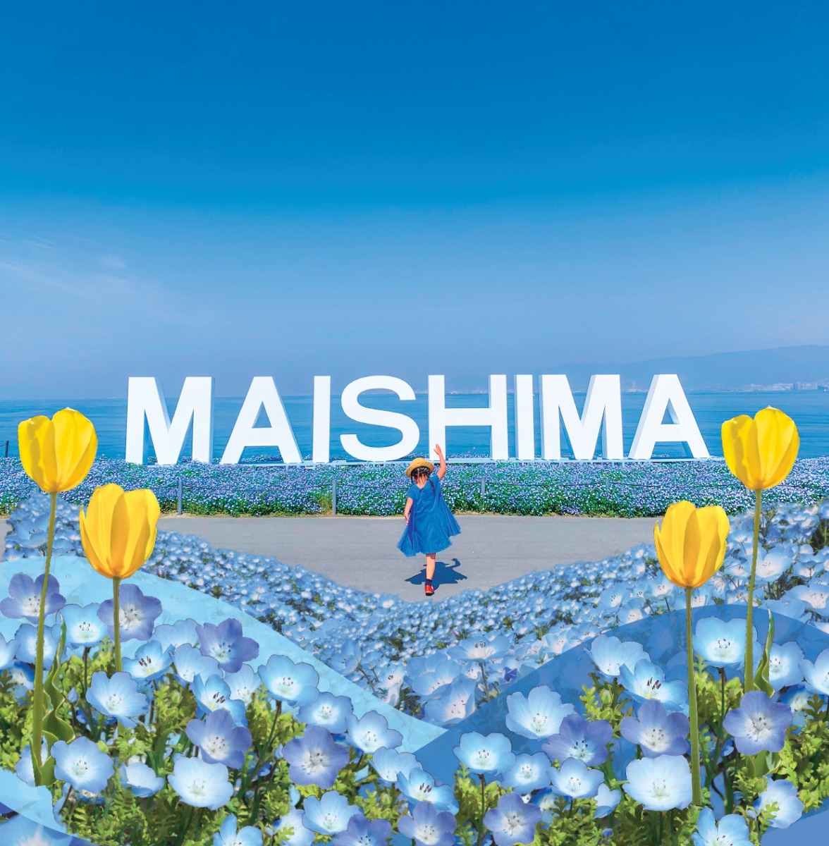 【プレゼント】空・海・花の青のハーモニー！ネモフィラ祭り【大阪まいしまシーサイドパーク】