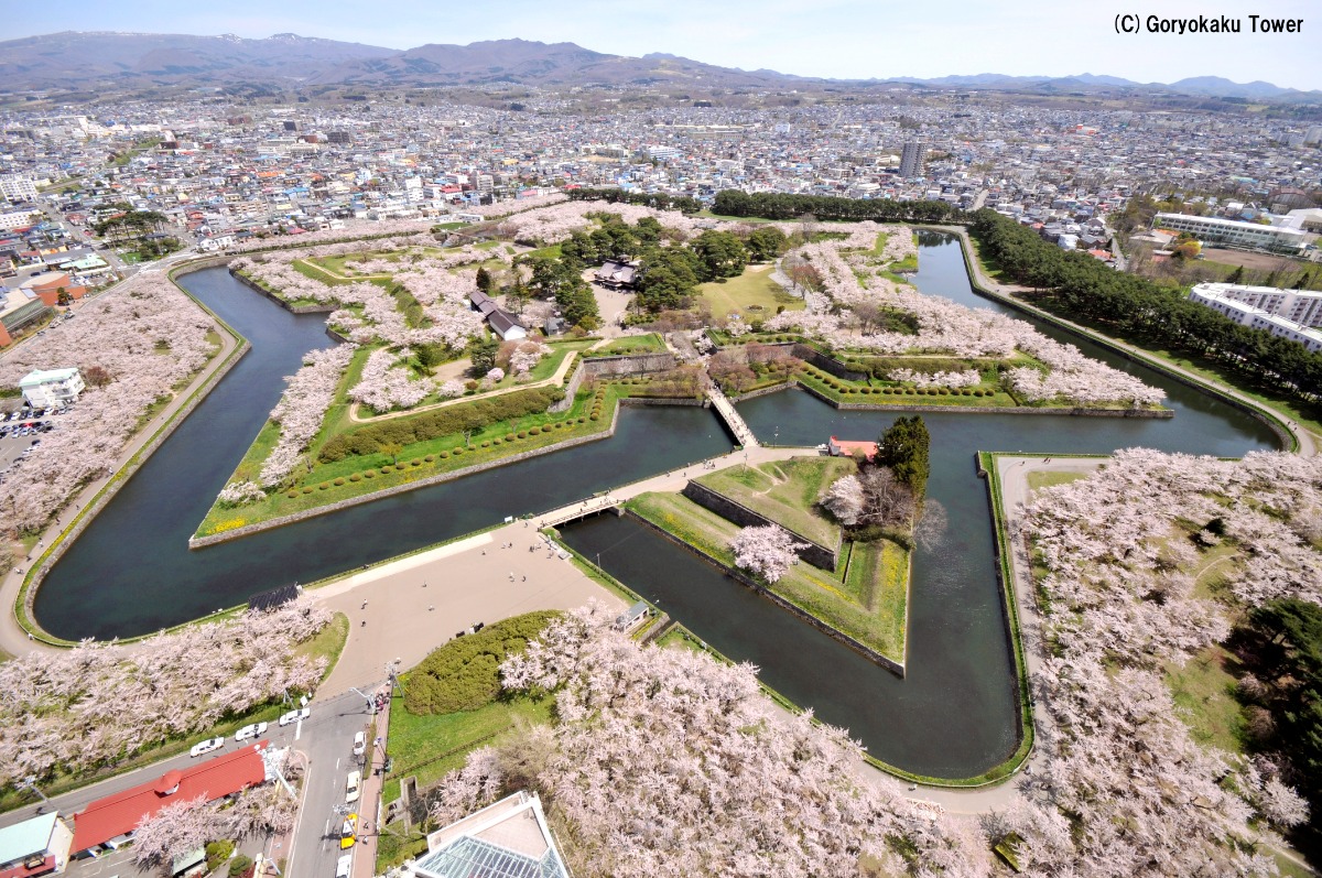 春は桜咲く函館旅へ！周遊バスで観光を満喫