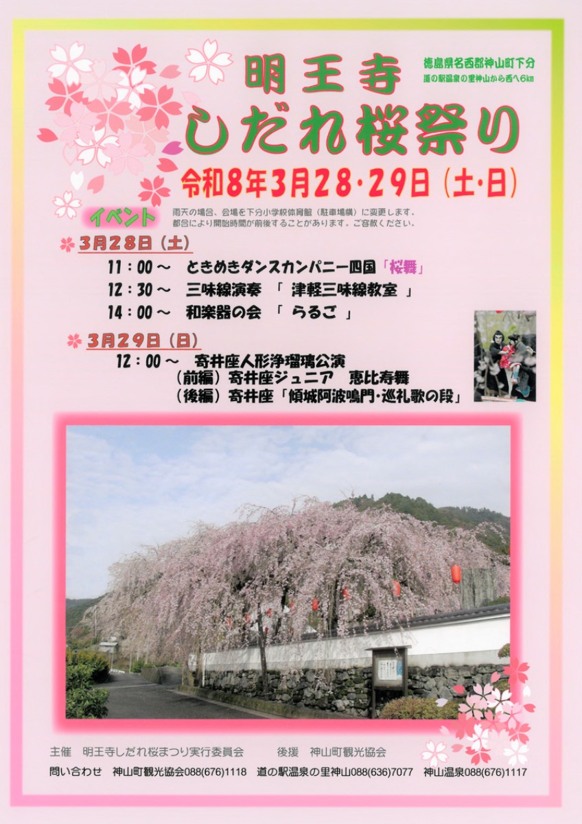 【徳島イベント情報2026】3/28～3/29｜明王寺しだれ桜祭り