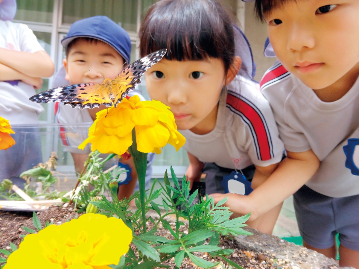 《2026年度版》徳島の私立幼稚園&認定こども園ピックアップ