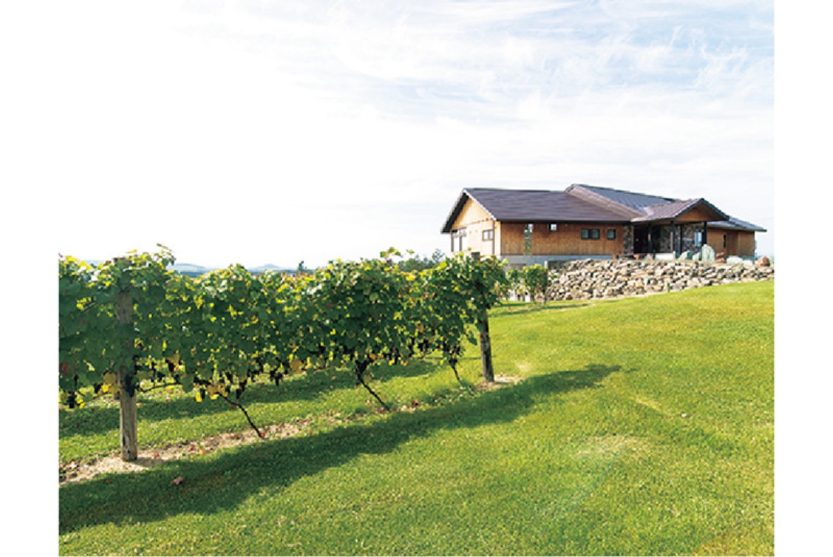 春から夏のオホーツク案内｜北見市　春はツツジ、夏には和ハッカと、 香りと色彩に包まれるまち