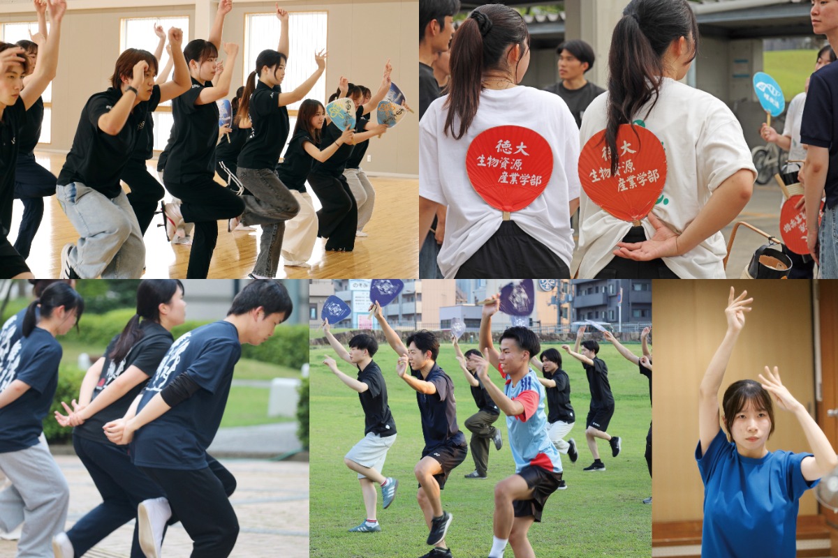 【7月17日配布開始】あわわ最新号・2026年7月20日号阿波おどりガイド／イベント／グルメ／観光／お土産／有名連／大学連／bibibi