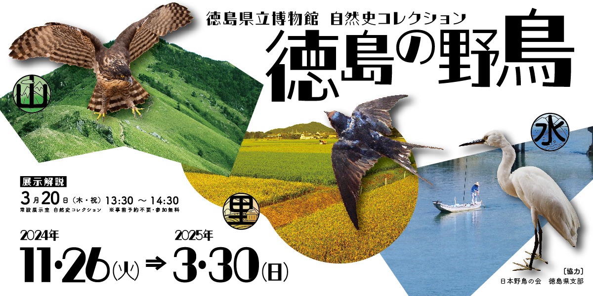 【徳島イベント情報2025】徳島県立博物館【1月】