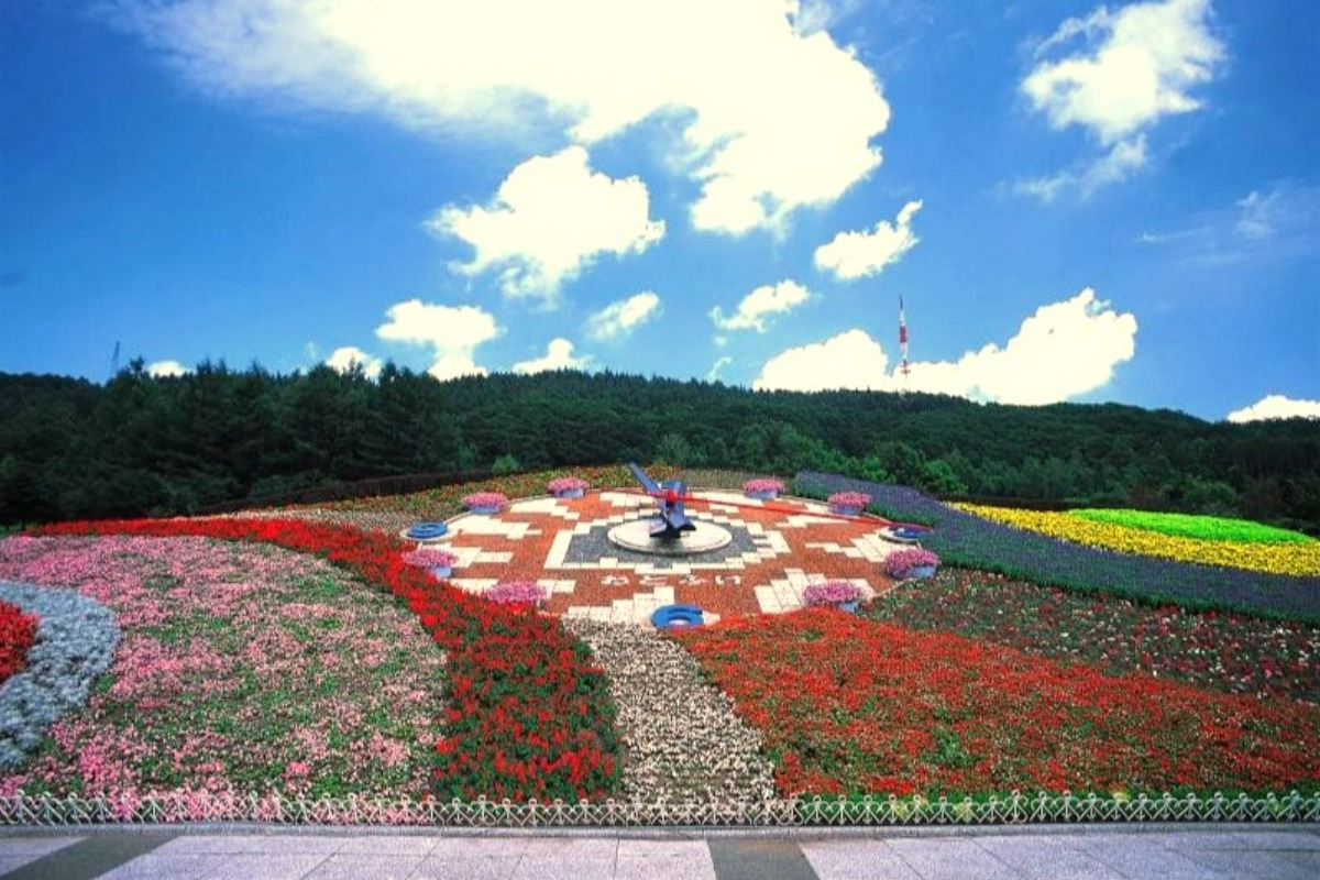 十勝川温泉街を花で彩る「花風景ハナックと花ロード」6月22日より