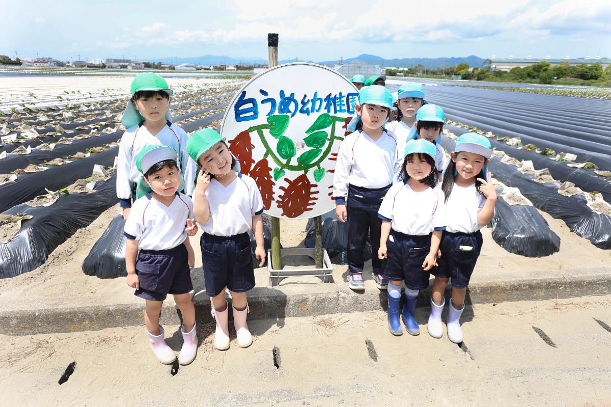 《2027年度版入園ガイド》徳島の私立幼稚園&認定こども園ピックアップ
