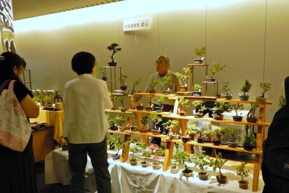 小さな盆栽の世界!札幌・チカホで“盆栽フェス”が7月6日開催