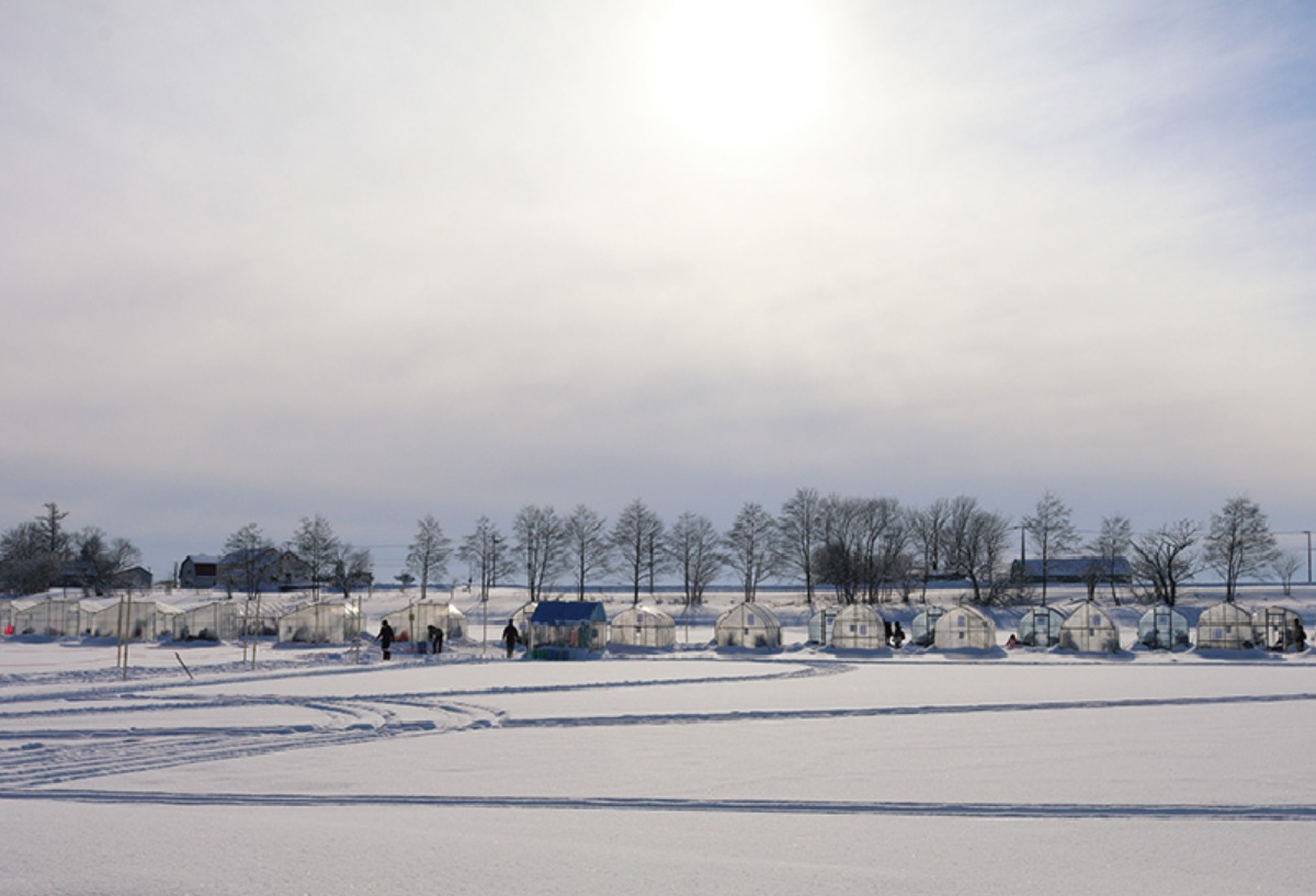 北海道、冬の遊び方。｜新篠津村