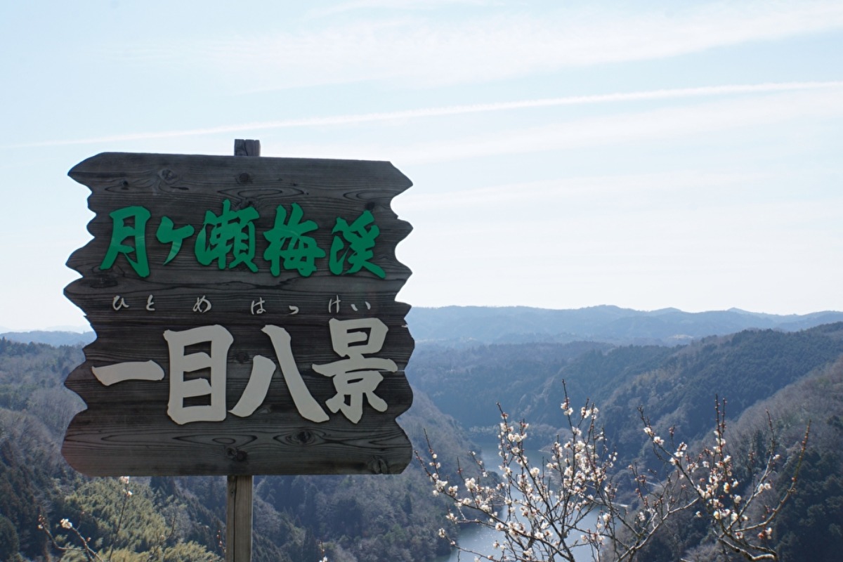【奈良県三大梅林】梅まつりも開催！日本で最初の名勝地 月ヶ瀬梅林（つきがせばいりん）｜奈良市